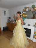 Elegant Ball Gown Spaghetti Straps Yellow Lace Long Tulle Prom Dresses Vestidos De Dia HZ0311
